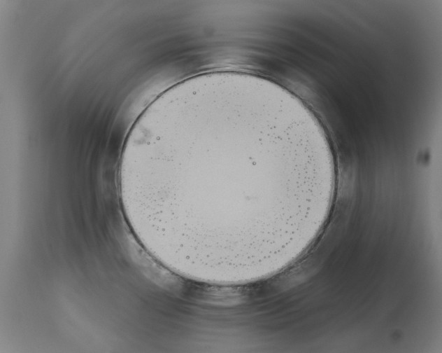 X0000114701338200911181307