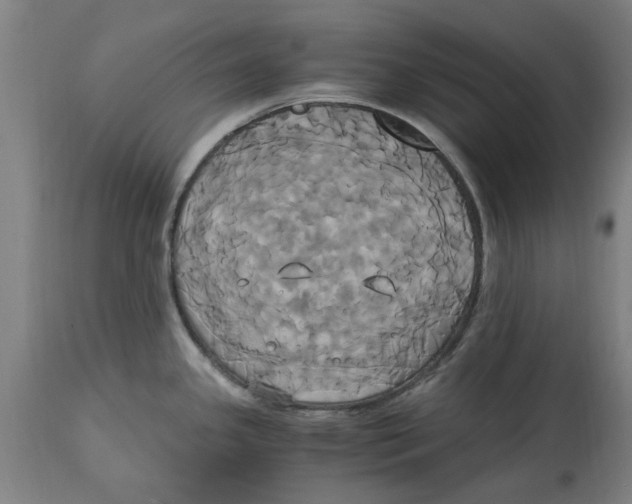 X0000114701341200911181307