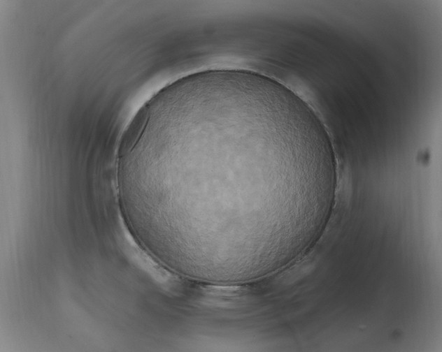 X0000114701342200911181307