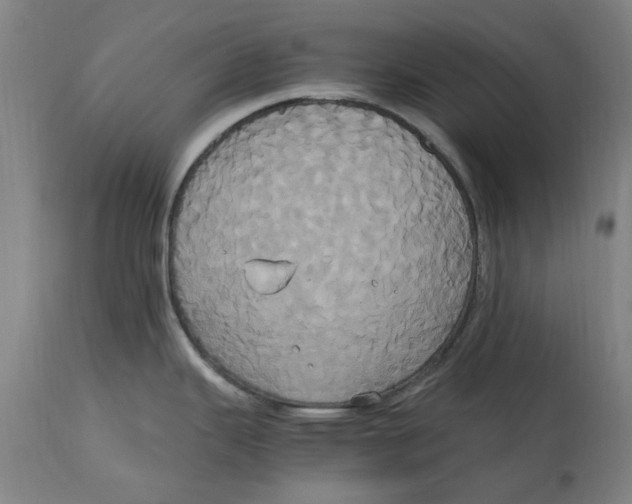 X0000114701343200911181307