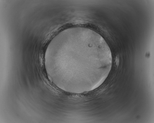 X0000114701348200911181307