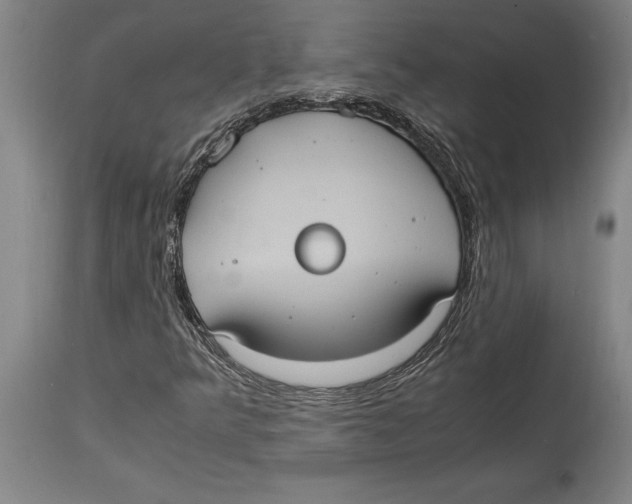 X0000114701349200911181307