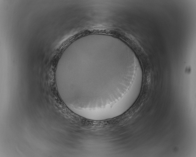 X0000114701350200911181307