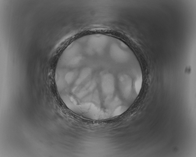 X0000114701351200911181307