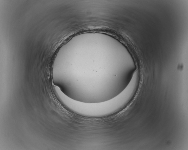 X0000114701353200911181307