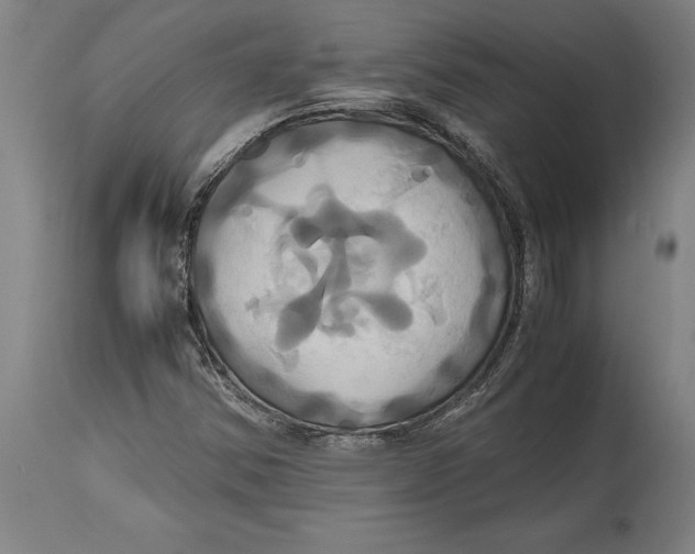 X0000114701354200911181307