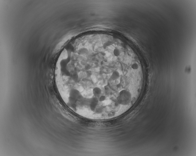 X0000114701355200911181307