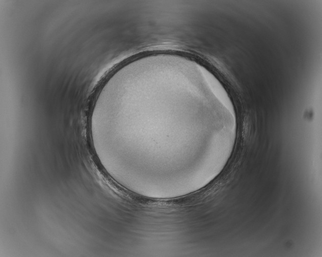 X0000114701356200911181307