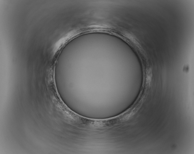 X0000114701357200911181307