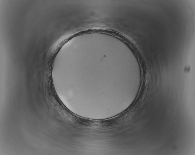 X0000114701359200911181307