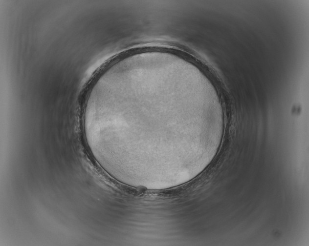 X0000114701360200911181307