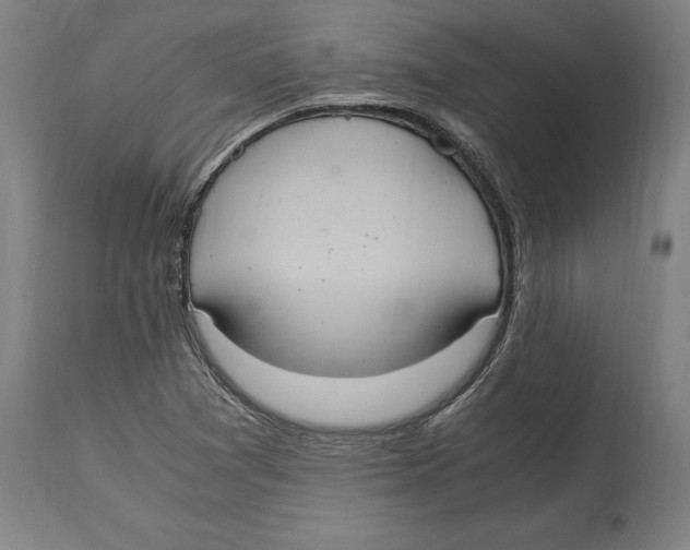 X0000114701361200911181307