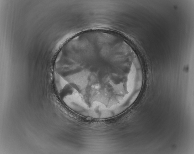 X0000114701363200911181306