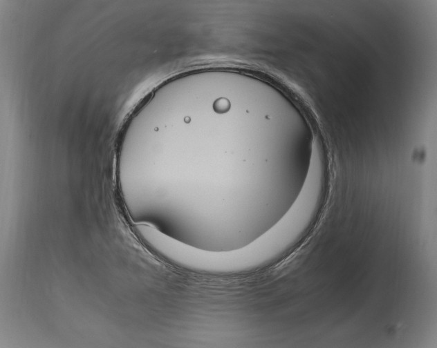 X0000114701365200911181306