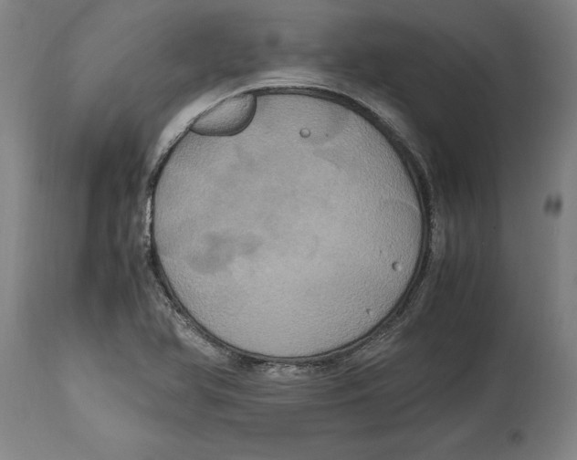 X0000114701366200911181306