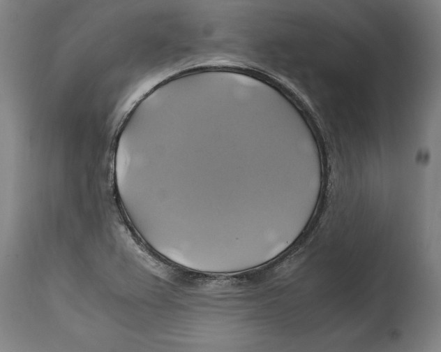 X0000114701367200911181306