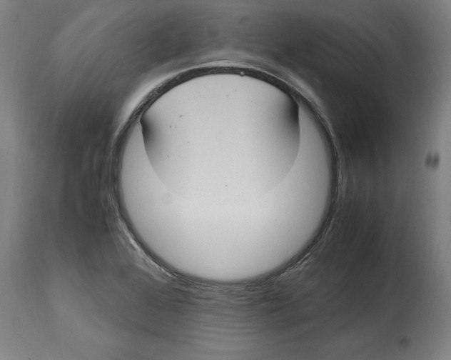 X0000114701368200911181306