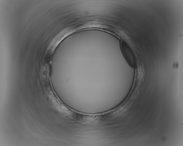 X0000114701369200911181306