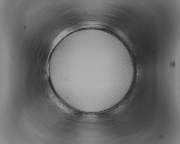 X0000114701370200911181306