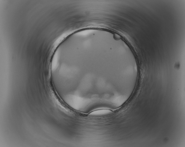 X0000114701371200911181306