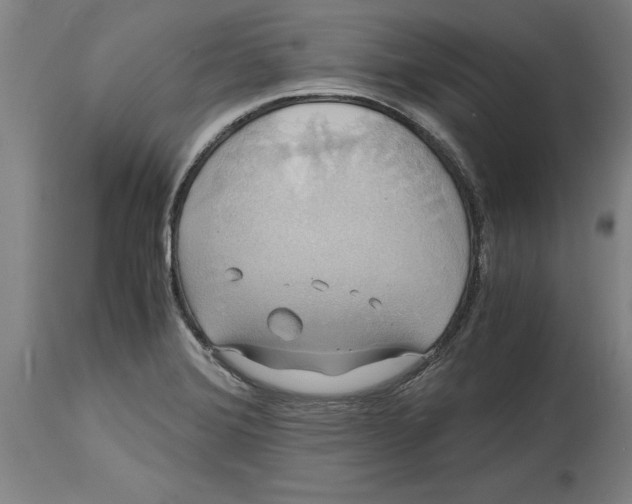 X0000114701372200911181306