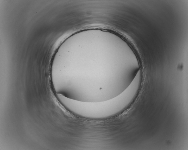 X0000114701373200911181306