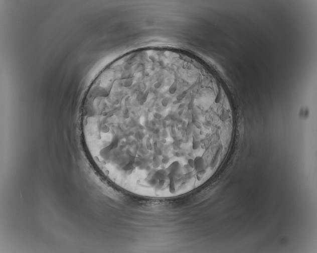 X0000114701375200911181306