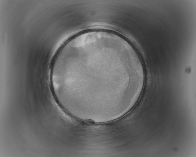 X0000114701376200911181306