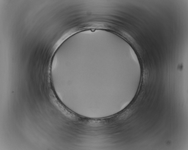 X0000114701378200911181306