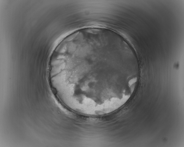 X0000114701379200911181306