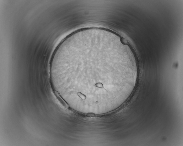 X0000114701380200911181306