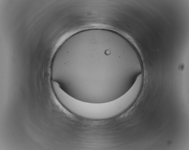 X0000114701381200911181306