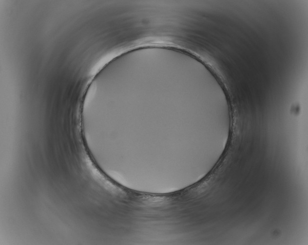 X0000114701382200911181306