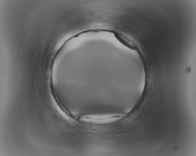 X0000114701383200911181306