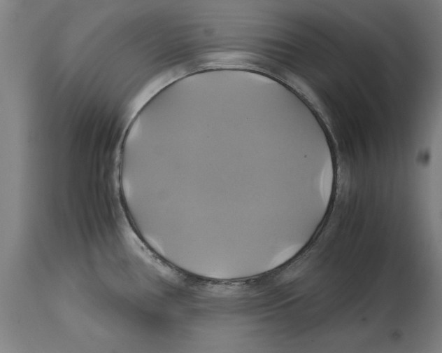 X0000114701386200911181306