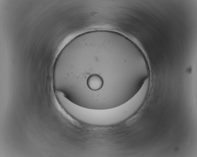 X0000114701389200911181306