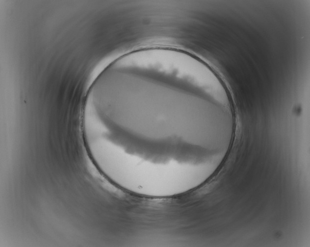 X0000114701390200911181306