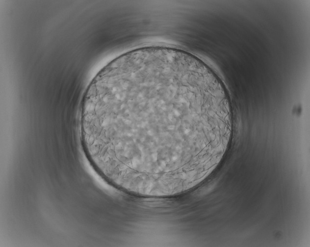 X0000114701391200911181306