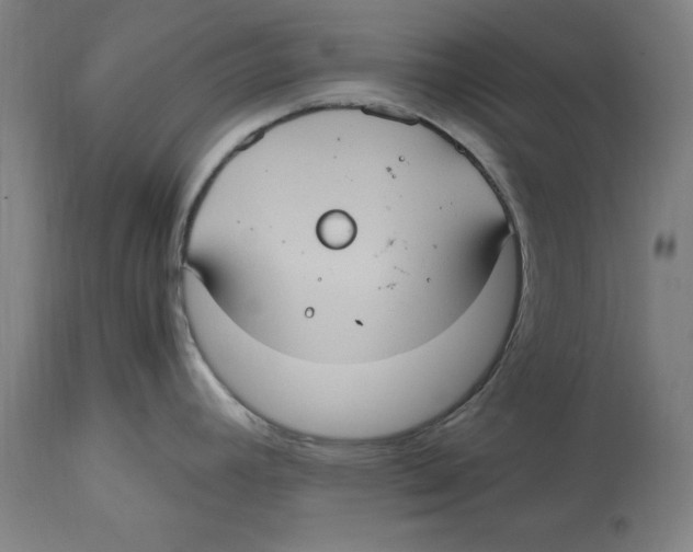 X0000114701392200911181306