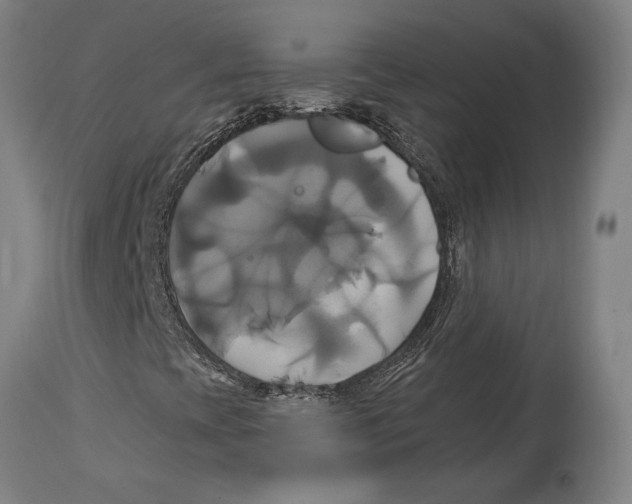 X0000114701393200911181305