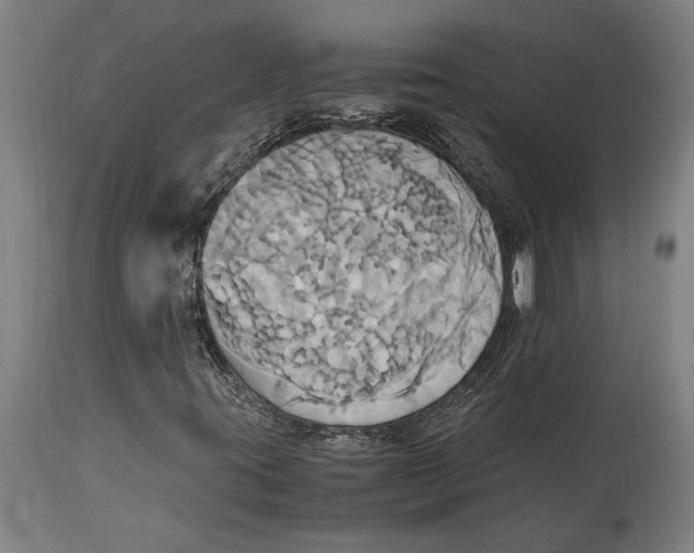 X0000114701395200911181305