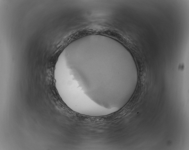 X0000114701397200911181305