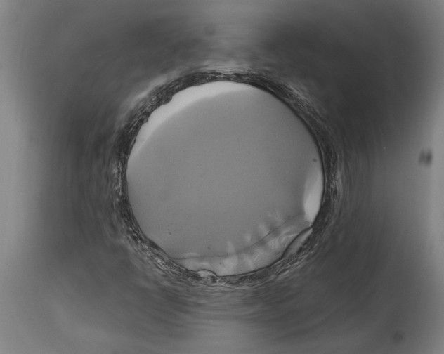 X0000114701398200911181306