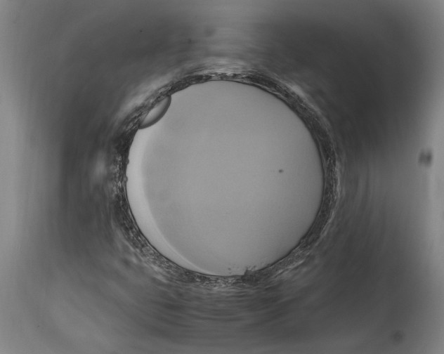 X0000114701399200911181306