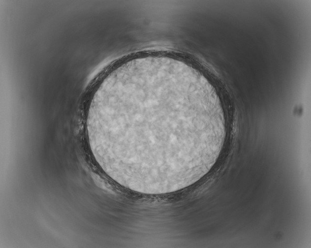 X0000114701400200911181306