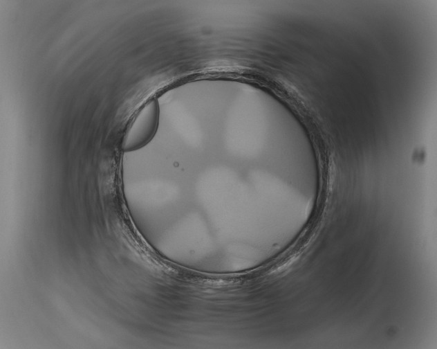 X0000114701401200911181306