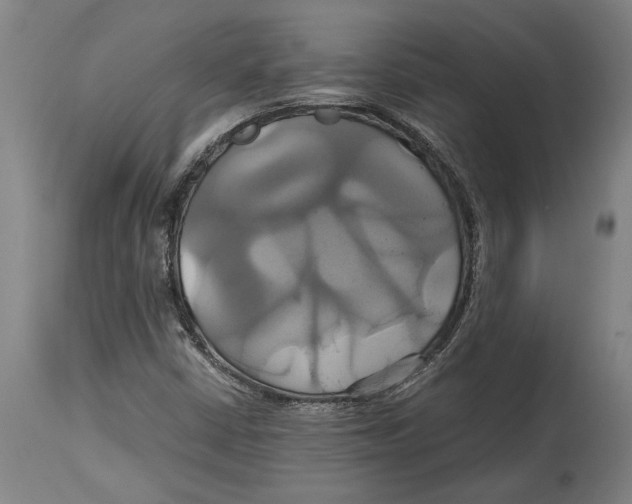 X0000114701402200911181306