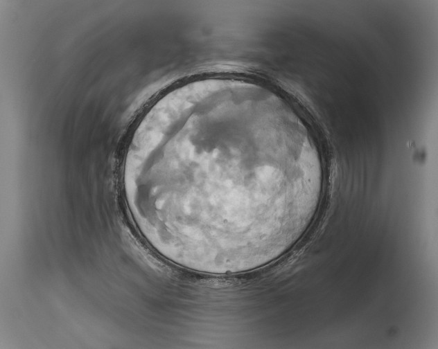 X0000114701404200911181306