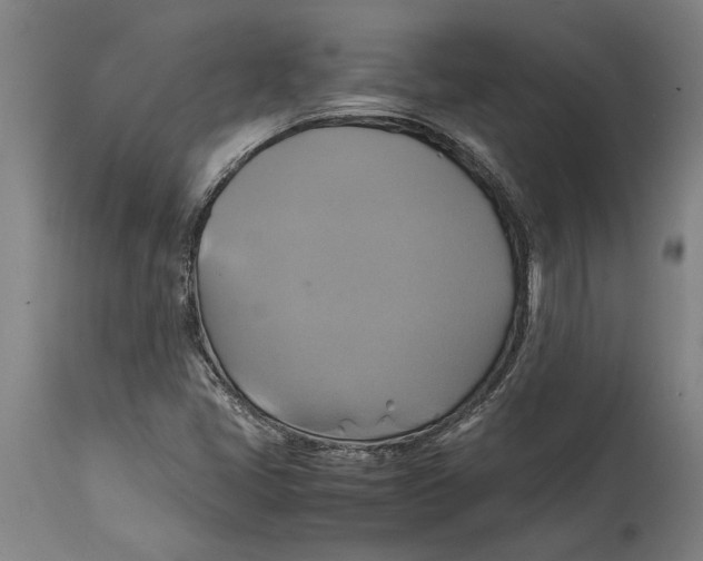 X0000114701405200911181306