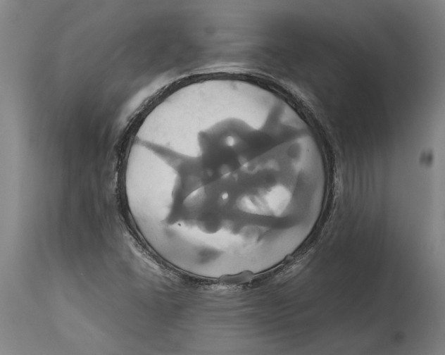 X0000114701406200911181306